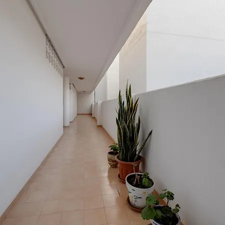 Modern Bergantin Apartment